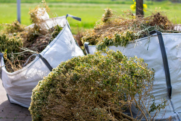 Best Yard Waste Removal  in Mayville, MI