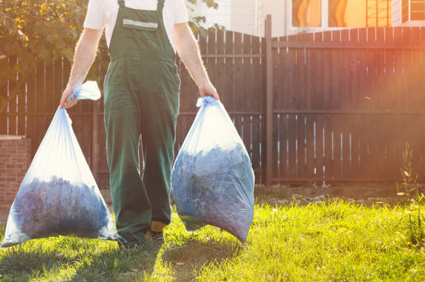Best Property Management Cleanouts  in Mayville, MI